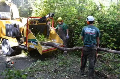 tree services Leland